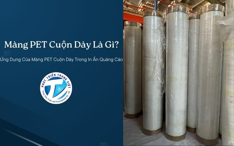 Màng PET Cuộn Dày Là Gì? Ứng Dụng Của Màng PET Cuộn Dày Trong In Ấn Quảng Cáo